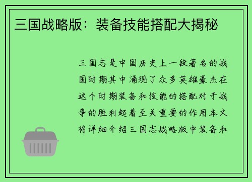 三国战略版：装备技能搭配大揭秘